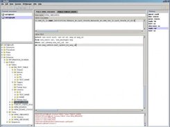 Working application with opened tabs, object tree, etc