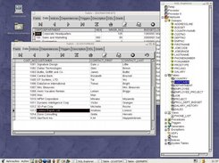General View of SQL Explorer