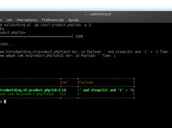 SQLi Dorking Screenshot 5