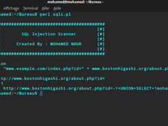 Script Sqli Scanner Screenshot 1
