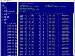 Sqlite Header, Root and Tree 