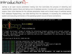 sqlmap Screenshot 1