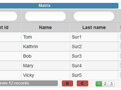 Sqlmatrix with search bar activated