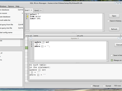 Detached Update window with error message; File menu (Linux Mint GTK2+)