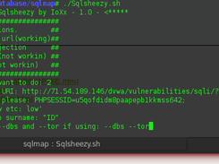 Sql Cookie Inejection