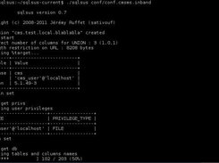 sqlsus Screenshot 2