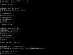 sqlsus Screenshot 3