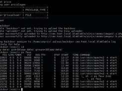 sqlsus Screenshot 1