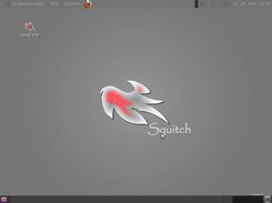 squitch pentest Screenshot 2