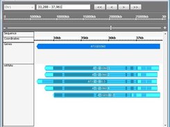 VisSR genomic images