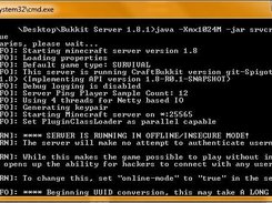 Consola de un servidor corriendo SRVCraft