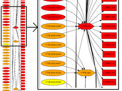 transition graph