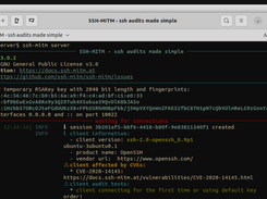 SSH-MITM Screenshot 1