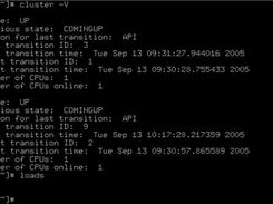 2-node cluster with cluster -V and loads output