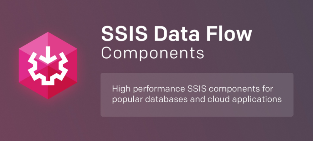 SSIS Data Flow Components Screenshot 1