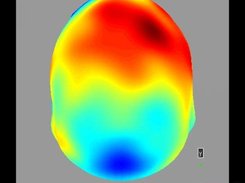 eeg