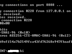 Kerberos Server Handshake