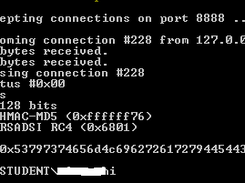NTLM Server Handshake