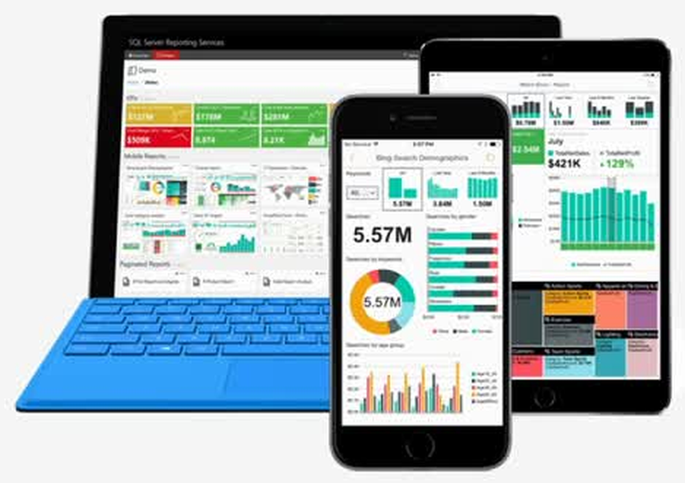 SQL Server Reporting Services (SSRS) Screenshot 1