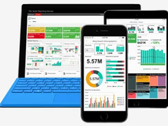 SQL Server Reporting Services (SSRS) Screenshot 1