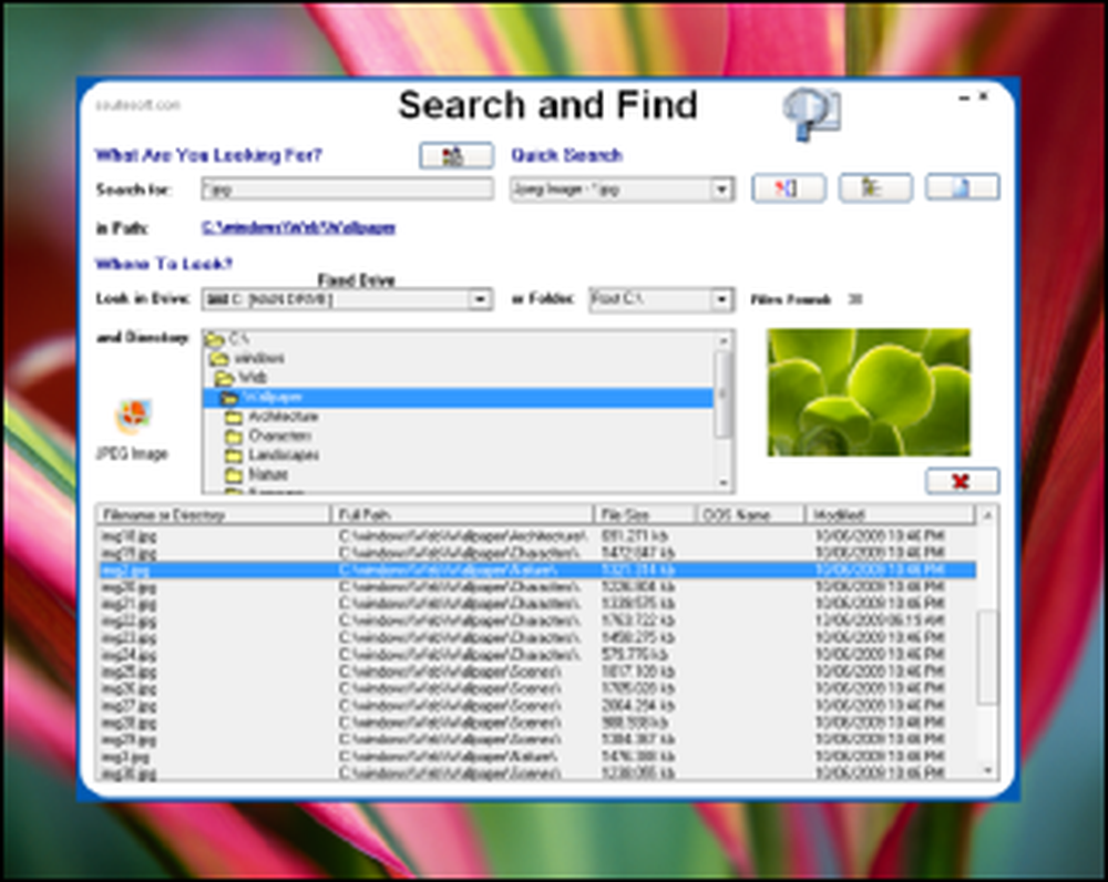 SSuite Desktop Search Screenshot 1