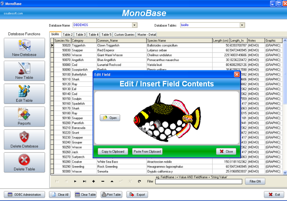 Field Data Entry