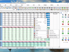 SSuite Axcel Professional Spreadsheet