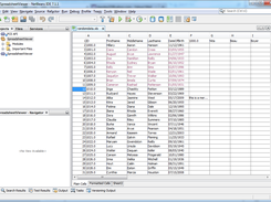 Spreadsheet Viewer window in NetBeans