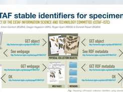 CETAF Stable collection identifiers