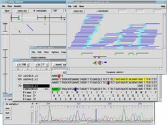 Dna sequence analysis software free mac