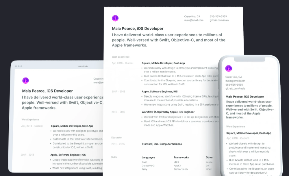 Standard Resume Screenshot 1