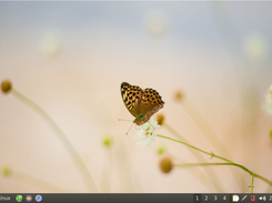 StarLinux LITE 16.04 (RC1)