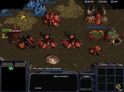 Zerg Base