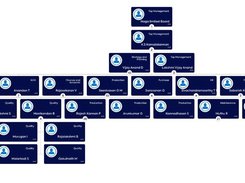 Dashboard team structure