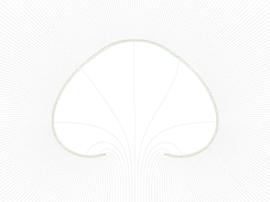 Static charge distribution on conductor Screenshot 4
