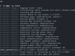 Static Web Server Screenshot 1