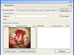 The Main GUI with a loaded image for hiding a message