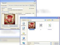 Save the image with the hidden message into a file