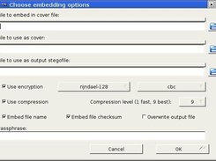 Embed options window