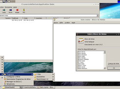 Running Windows Program