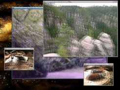 four instances of the stereo image viewer running