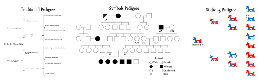 Stickdog Pedigree Software Screenshot 1