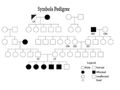 Stickdog Pedigree Software Screenshot 1