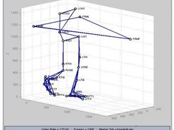 User Interface, 3D view of gait trial