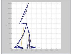 User Interface, 2D view of gait trial