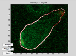Yeast Cell Ready to be Analyzed