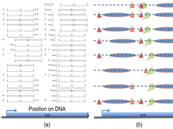 Visualization of Simulation Results