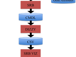 Overview of modeling pipeline