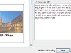 Keywords editing - Stock Photo Tagger
