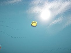 Stranded Raft Modpack Screenshot 2